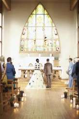 crazy dark blue butterflies_evagrinphotography (212)