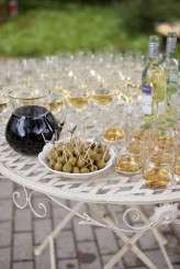 crazy dark blue butterflies_evagrinphotography (322)