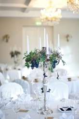 crazy dark blue butterflies_evagrinphotography (424)b