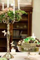 crazy dark blue butterflies_evagrinphotography (439)b