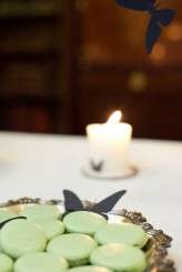 crazy dark blue butterflies_evagrinphotography (442)a