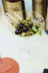 crazy dark blue butterflies_evagrinphotography (447)a