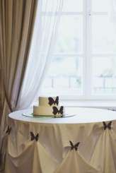 crazy dark blue butterflies_evagrinphotography (450)b