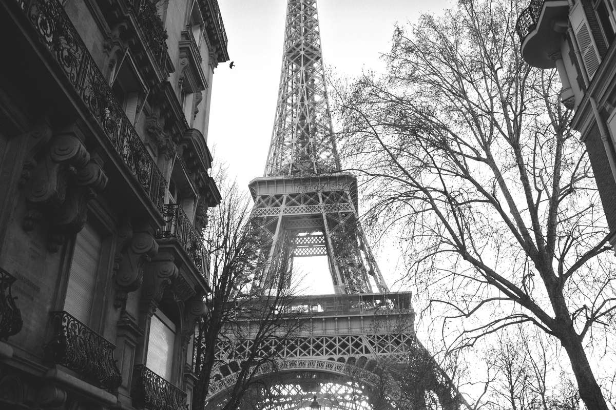 Bloggers-Paris-Devlin-Photos 503