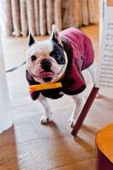 Childlike DIY Motif Wedding Photography-214