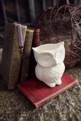 MelissaTuckPhotography_winterwedding-004