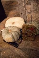 MelissaTuckPhotography_winterwedding-093