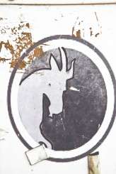 Rustic Atlanta Goat Farm Wedding_Stacey Bode 011