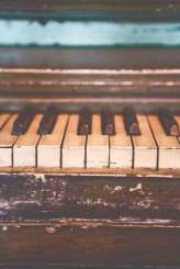 Rustic Atlanta Goat Farm Wedding_Stacey Bode 012