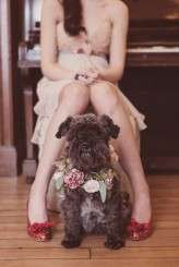 Valentines Ball – Cristina Rossi Photography-351