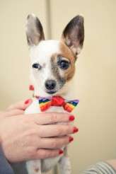 Stephanie & Dale’s Wedding