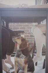 annajones_ingenueboudoir28