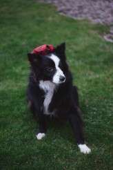 elegant-quirky-scotland-wedding-photography-crear-rebecca-santi-2719