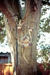 006HelenRussellPhotoEmily&Daryl