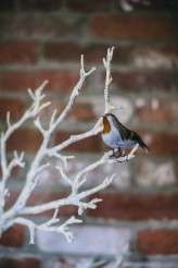 Barn-Wedding-Samuel-Docker-Photography-007