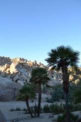 Ceri and PC Desert Wedding 65