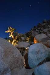 Ceri and PC Desert Wedding 70