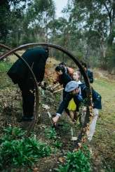 VintageHarvestFair_Eric&Michelle_160_JulianBeattiePhotography