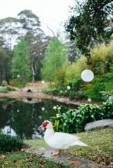 VintageHarvestFair_Eric&Michelle_1_JulianBeattiePhotography