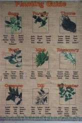 VintageHarvestFair_Eric&Michelle_48_JulianBeattiePhotography