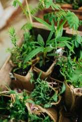 VintageHarvestFair_Eric&Michelle_49_JulianBeattiePhotography