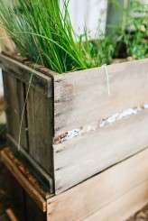 VintageHarvestFair_Eric&Michelle_50_JulianBeattiePhotography