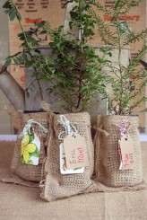 VintageHarvestFair_Eric&Michelle_51_JulianBeattiePhotography