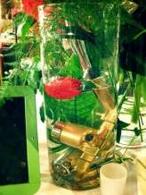 63 Plumbing SS (Copy)