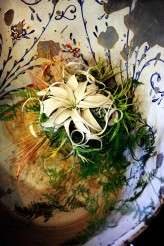 7 Plumbing Justine Johnson (Copy)