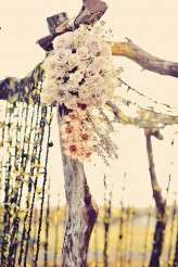 Animal Farm Maui Wedding_Tamiz Photography_009