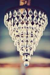 Animal Farm Maui Wedding_Tamiz Photography_013