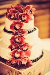 Animal Farm Maui Wedding_Tamiz Photography_161