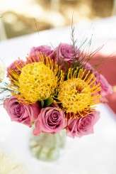 photo by Nicolle Versteeg Photography