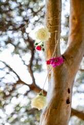 photo by Nicolle Versteeg Photography