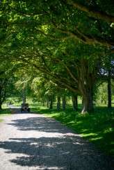 Steampunk_Big_Glass_Eye-0150