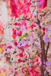 harajuku-camera-hannah-145