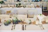 108_TableDecorTerrariumsAndMilkGlass_CARLY_BISH_PHOTOGRAPHY-108