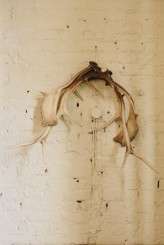 Craig and Kate Photography097