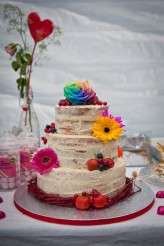 Multi-coloured.Farm.Mia-photography-212