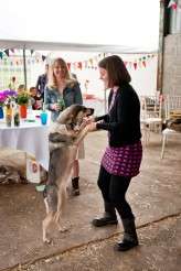 Multi-coloured.Farm.Mia-photography-407