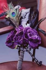 StPete_LaurenPiper0021