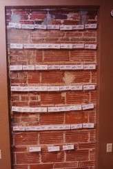 StPete_LaurenPiper0087