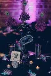 StPete_LaurenPiper0151