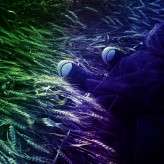 therockconcert_annalisarusso (101)