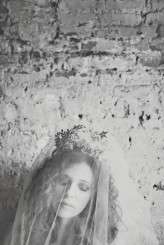 Lisa Jane Photography