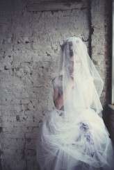 Lisa Jane Photography