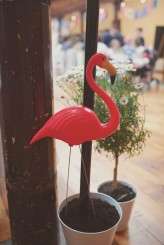 Alternative Brighton Wedding Devlin Photos 439