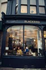 AnnaTimmyAssassynation-10676