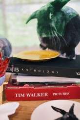 Day of the Dead Wedding – weheartpictures.com-43