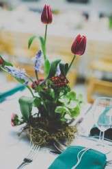 James Melia Photography_6609